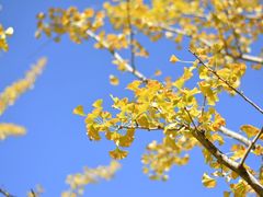 -长春公园(普阳街道)