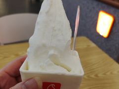 -野人先生Gelato(上海长宁龙之梦店)