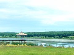 -塞罕坝国家级自然保护区