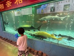 -年辉渔村·非遗传承餐厅(新丰江店)