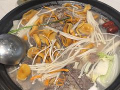 -九寨特色牦牛肉汤锅 羊肉汤锅