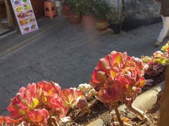 -桥边小楼·手工云南菜·古城观景小楼