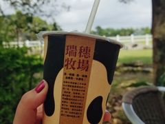 -瑞穗牧场