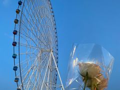 -南昌之星摩天轮