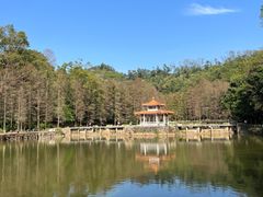 -深圳仙湖植物园
