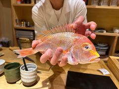 -镹·鱼料理  国产鱼使用店