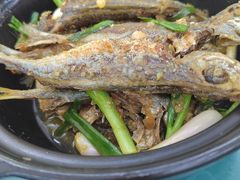 -巽东海鲜大排档(巽寮湾店)