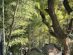 -塔川景区