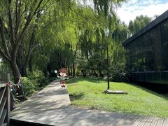-同里国家湿地公园
