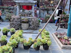 -寂照庵