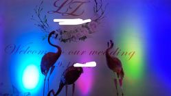 -巴黎新娘婚纱摄影·婚礼策划(嘉定总店)