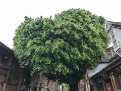 -三坊七巷历史文化街区