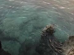 -白沙滩