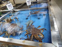 水产区-七鲜超市(万向城店)