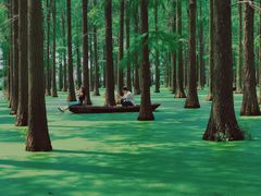 -渌洋湖湿地公园