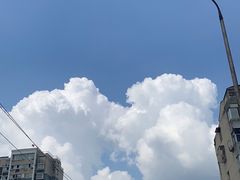 -菲丽丝宠物医院·24小时·猫科中心·免疫点(淮海分院)