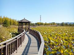 -羊亭河湿地公园
