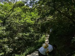 -阳台山自然风景区