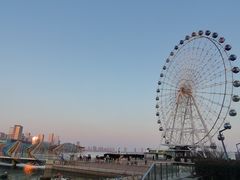 -琴岛之星摩天轮