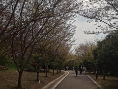 -南山风景名胜区