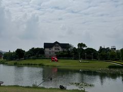 -洋湖国家湿地公园