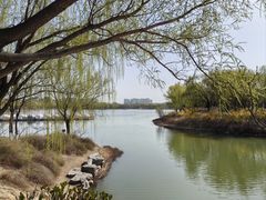 -大兴滨河森林公园