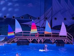 -海合安武汉极地海洋公园