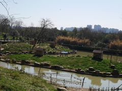 -合肥野生动物园