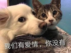 -深圳君逸国际酒店(龙岗横岗塘坑地铁站店)