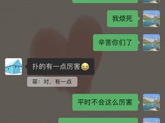 -宠物之家Pets Home 宠物寄养酒店