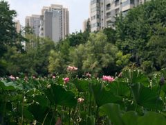 -成都工业学院(郫都校区)