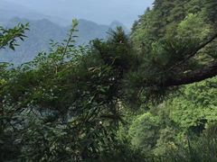 -内乡宝天曼生态旅游区