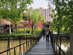 -南汇桃花村