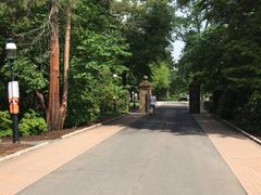 -普林斯顿大学