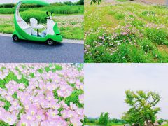 -良渚古城遗址公园
