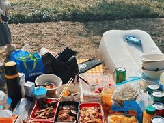 -上海滨江森林公园