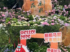 -天适樱花悠乐园