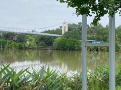 -川南大草原