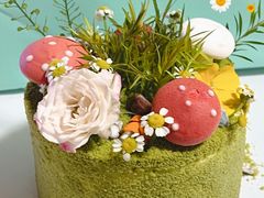 -5Cake五度无蔗糖低脂蛋糕(陶然亭店)