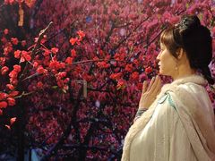 -武汉杜莎夫人蜡像馆