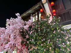 -小河直街历史文化街区