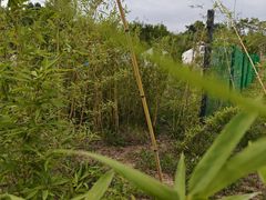 -西部长青自然儿童乐园