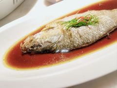 -淮扬府·游园京梦(北京SKP店)