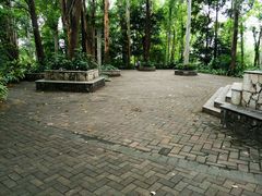 -南岗山公园