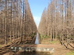 -黄海国家森林公园