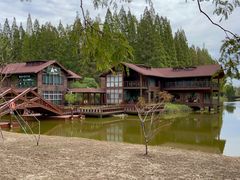 -黄海国家森林公园