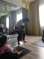 -静园瑜伽