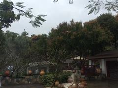 -碧水湾温泉