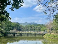 -大屏嶂森林公园