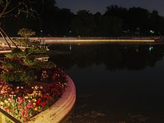 -大望京公园